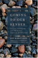 Coming to Our Senses: Healing Ourselves and the World Through Mindfulness( Rough Cut ) артикул 13470d.